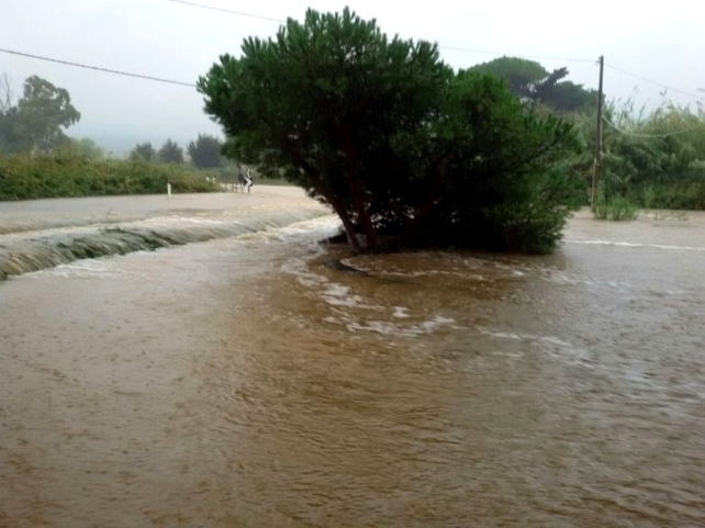 I fossi e lo stagno di Baratti (Piombino - LI)